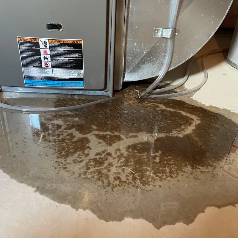 Appliance Leak Cleanup in Libby, MT