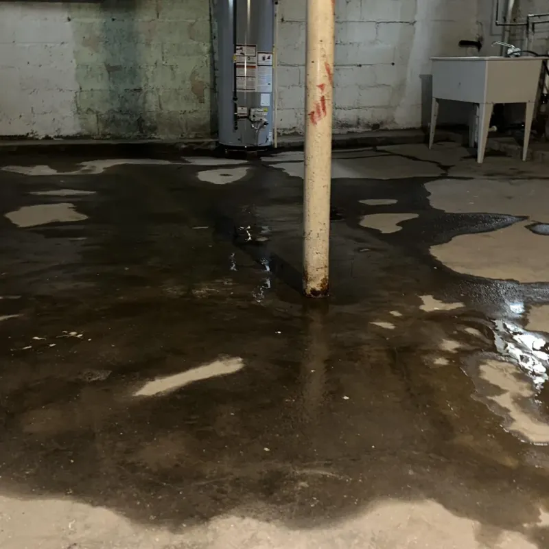 Emergency Water Extraction And Removal in Libby, MT